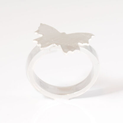 Ring Butterfly-1