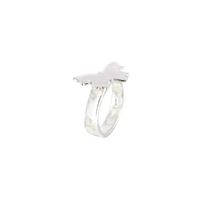 Silverring Butterfly