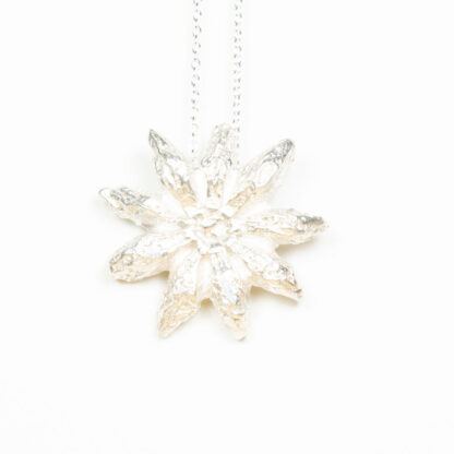 silverhängsmycke star