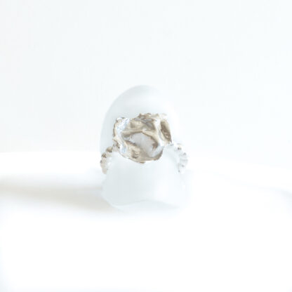 ring disc framifrån