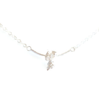 silverhalsband bulls eye