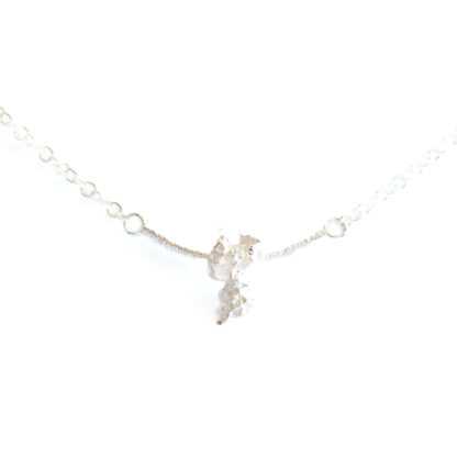 silverhalsband bulls eye