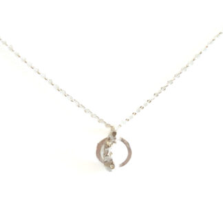silverhalsband utanför