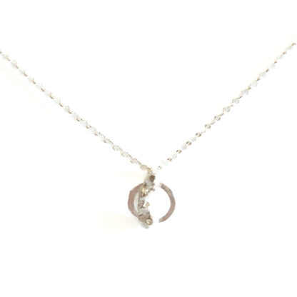 silverhalsband utanför